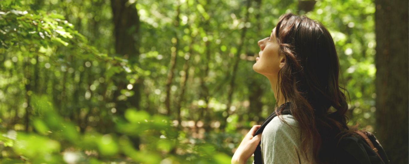 Bloggerin steht im Wald und schaut hoch in die Bäume